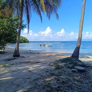 T1 Bis A Proximite De La Le Gosier (Grande-Terre)